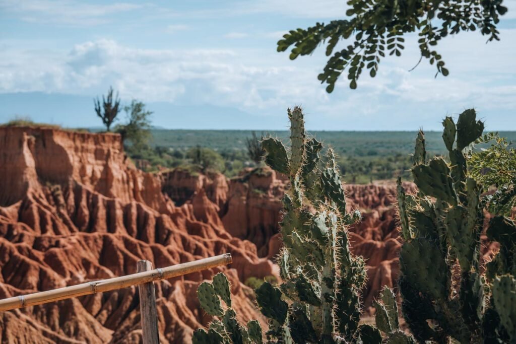 Cactus en primer plano y algunas hojas, a continuación se ve una panorámica del desierto de la tatacoa en Colombia