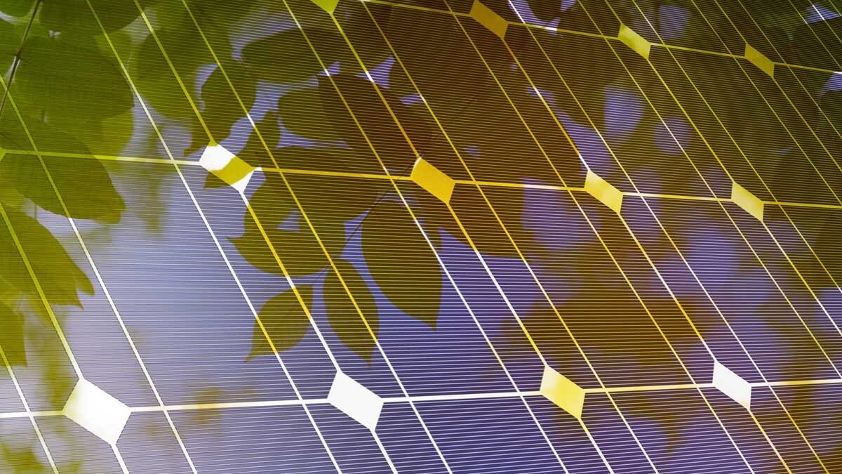 Hojas verdes mezcladas con un panel solar fotovoltaico