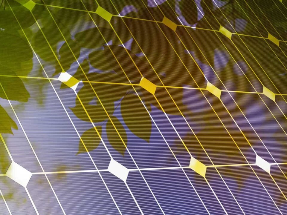 Hojas verdes mezcladas con un panel solar fotovoltaico