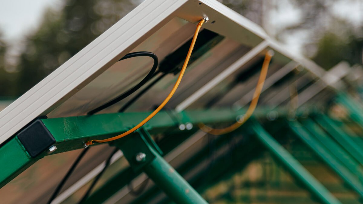 Paneles solares vistos desde atrás, se ven cables y en el fondo naturaleza